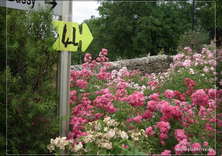 Papagom Lyon 2011 16