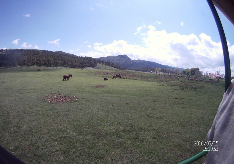 Dannou_st_paul_2016_027