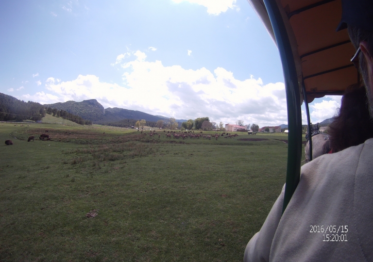 Dannou_st_paul_2016_028