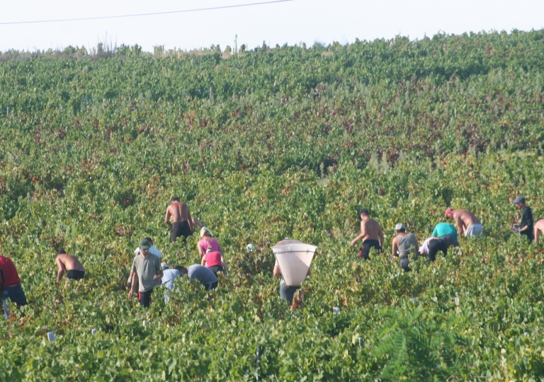 r-Alpes-2018_Jerome-M 039